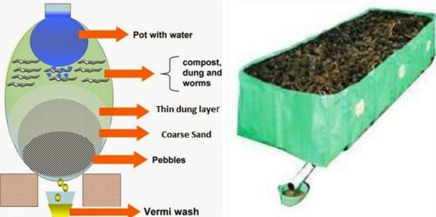 Vermiwash Preparation Process, Benefits, Cost