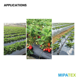 mulching film application