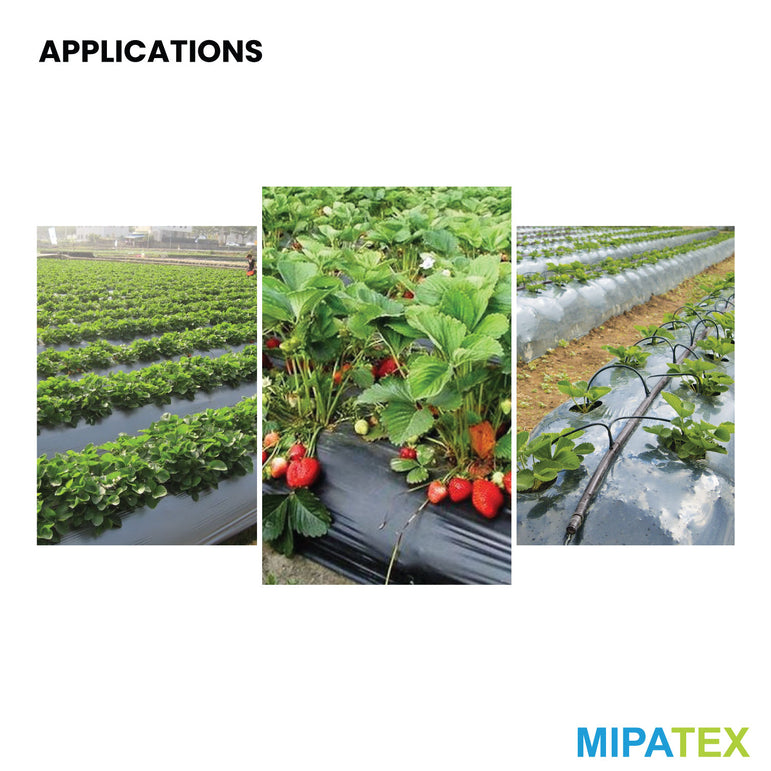 mulching film application