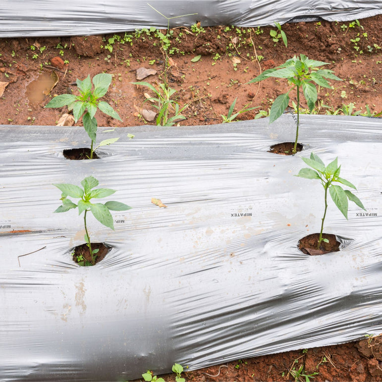 Mipatex Mulch Film, UV Plastic Mulching Film Sheet for Agriculture