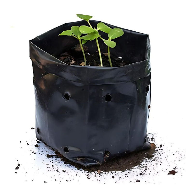 plant nursery bag