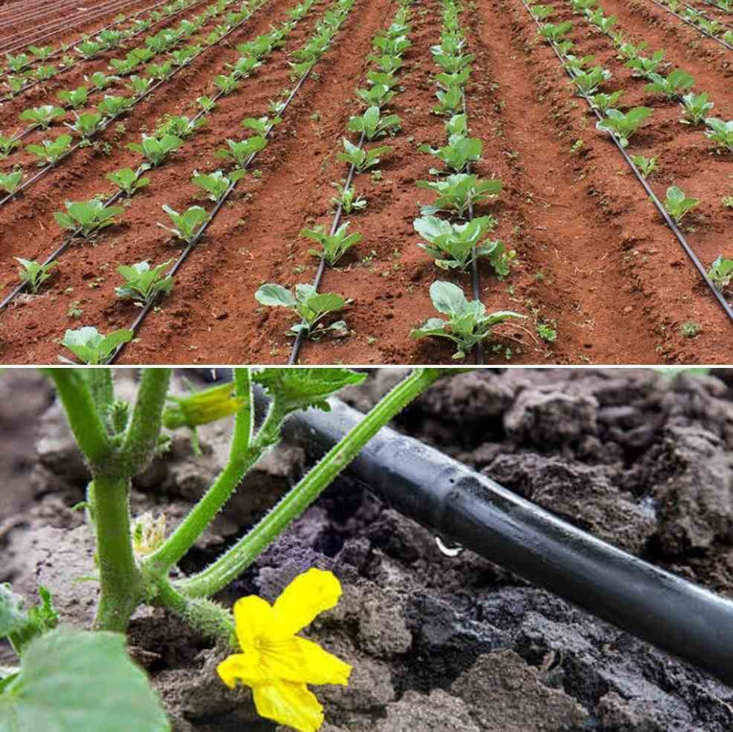 Drip Irrigation for Vegetables – a Full Guide