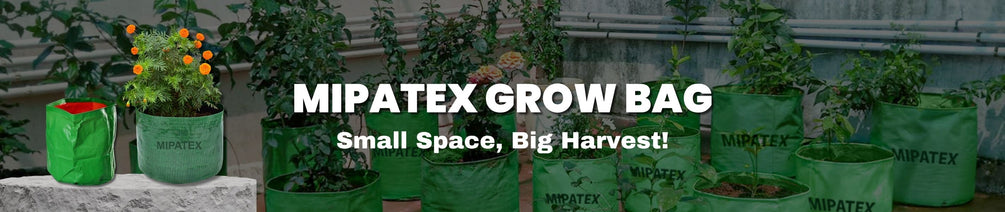 Fabric Grow Pot Felt Garden Grow Bag Outdoor Vegetable Black Outdoor  Planter Planting Bags Garden Living Bag Garden Pots Planting Bag 210615  From Cong09, $6.34 | DHgate.Com