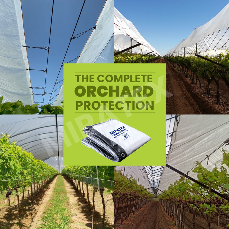 orchard protection cover
