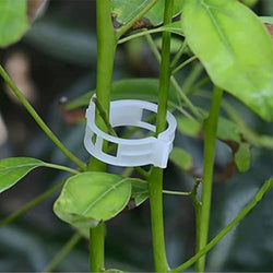 Plant clips for climbing plants