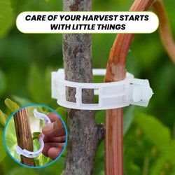 Plant clips for climbing plants