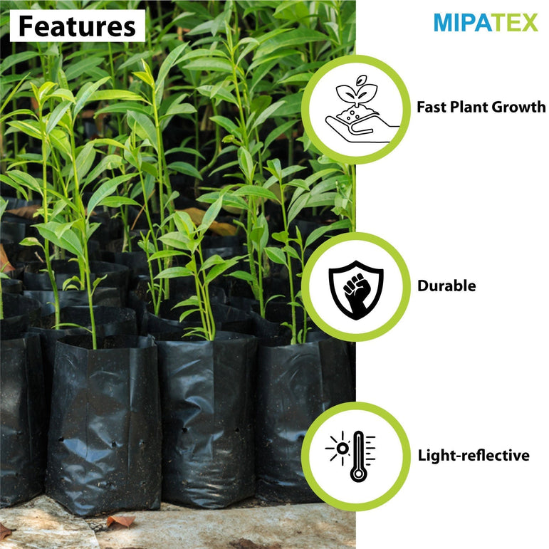 plant nursery plastic bags Mipatex plant nursery bags, plant bag, nursery poly bags, ldpe plant g