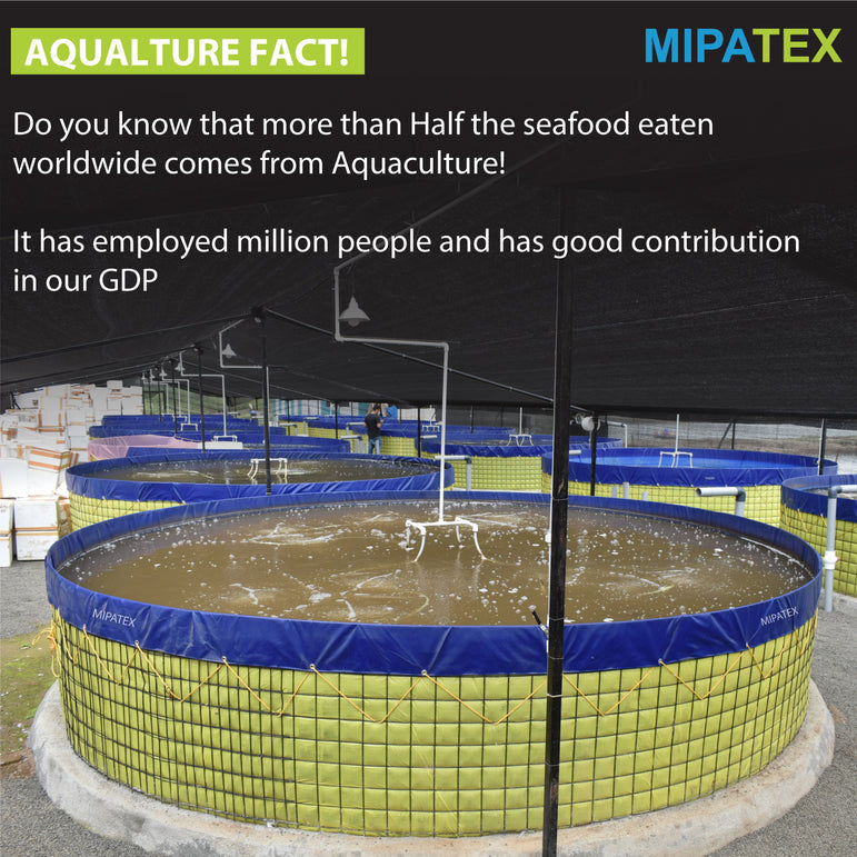 Mipatex PVC Biofloc Fish Tank - Round Tarpaulin Sheet Aquaculture Farming, with Protection Cover (Blue)